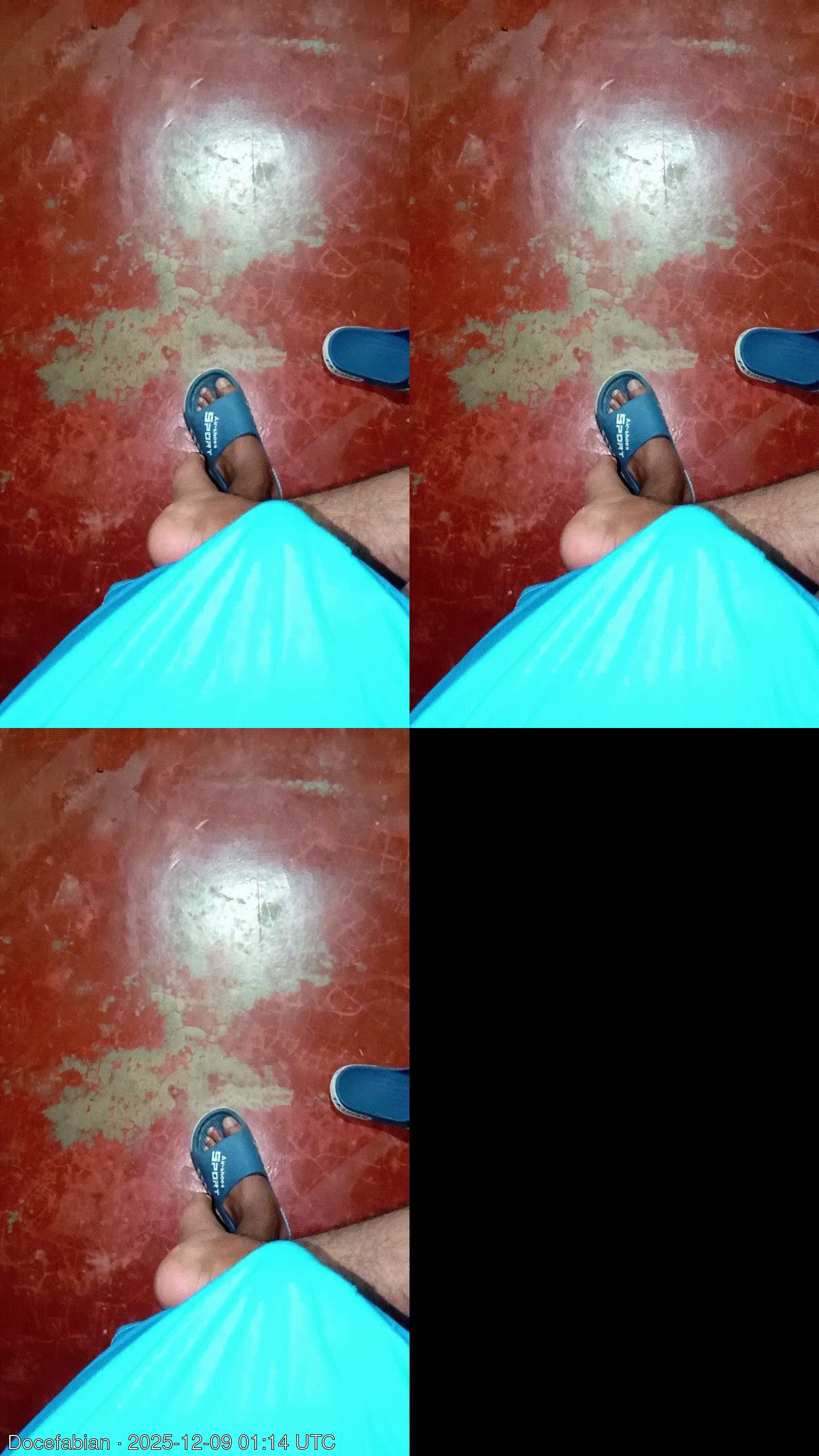 Docefabian animated GIF preview on Server Cams from Columbia