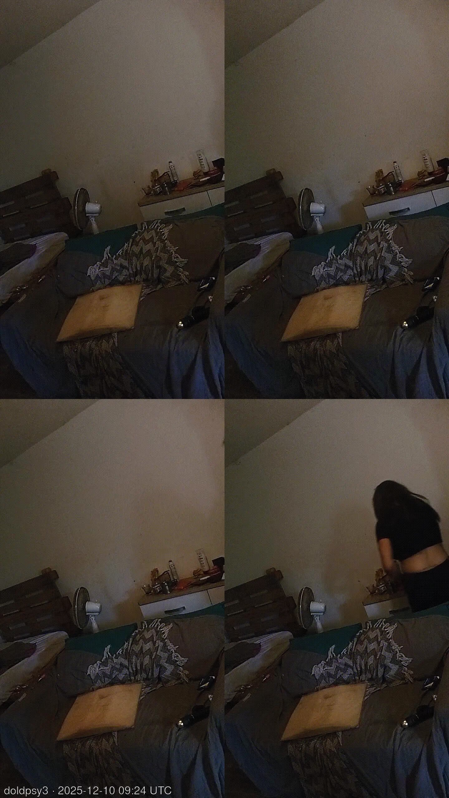 doldpsy3 animated GIF preview on Server Cams from Réunion