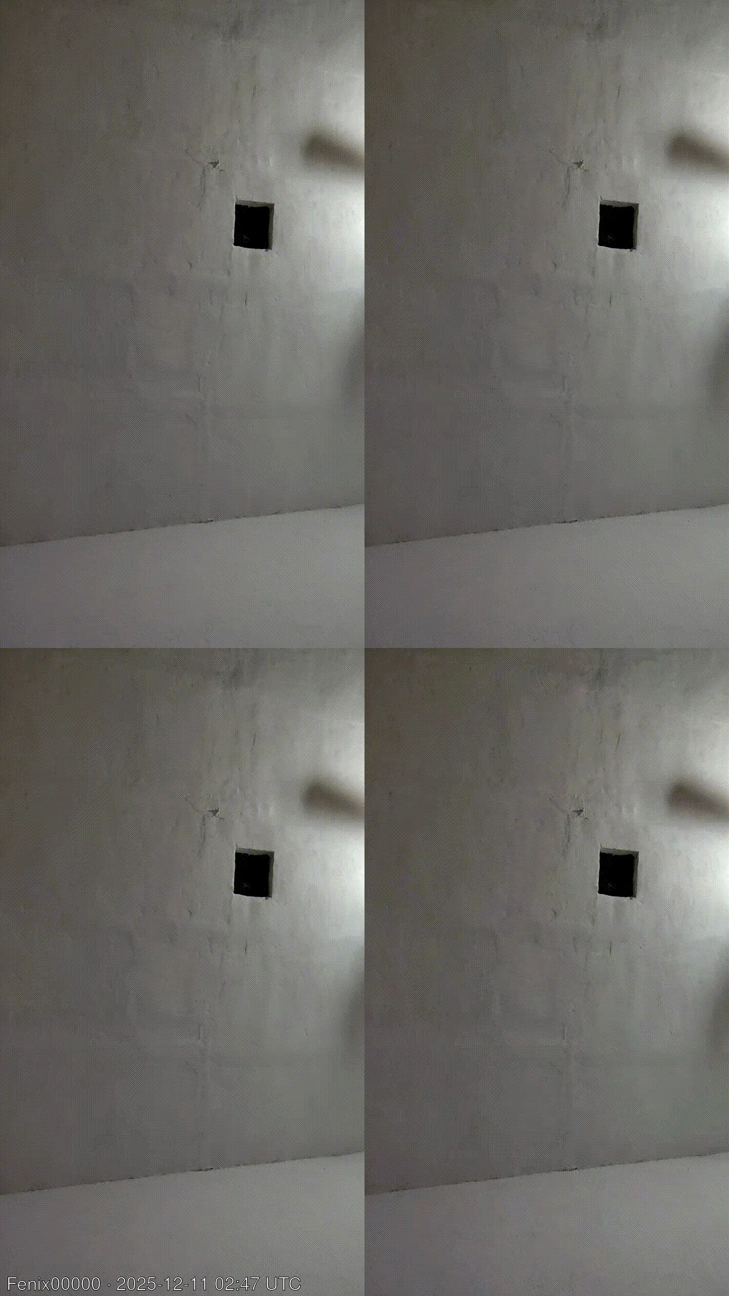 Fenix00000 animated GIF preview on Server Cams from Mexic