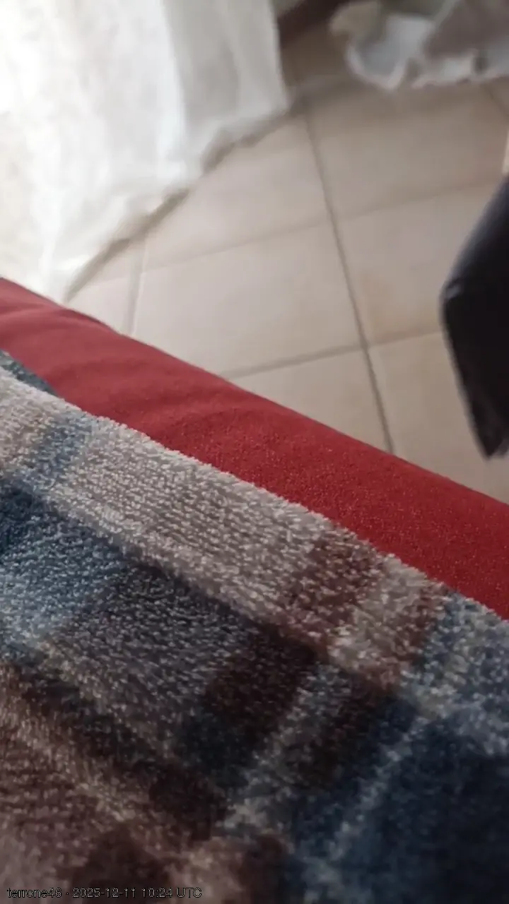 terrone46 live video preview on Server Cams from Italia