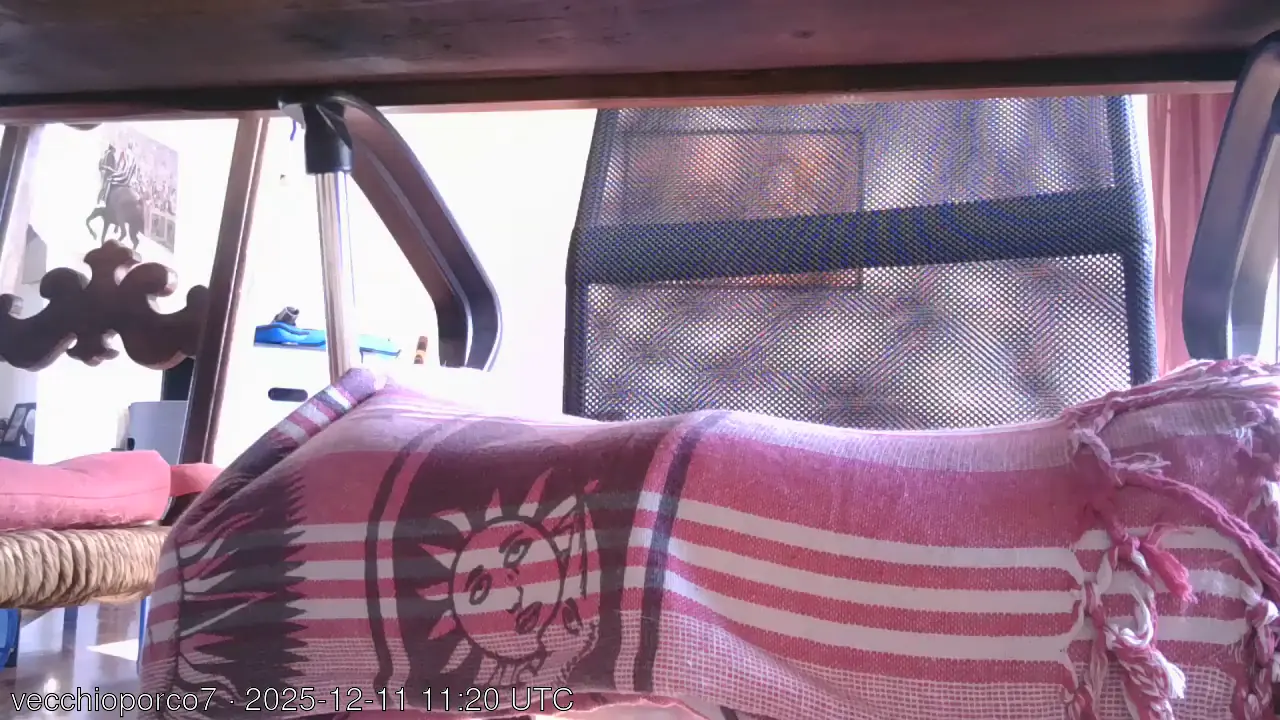 vecchioporco7 live video preview on Server Cams from Italia